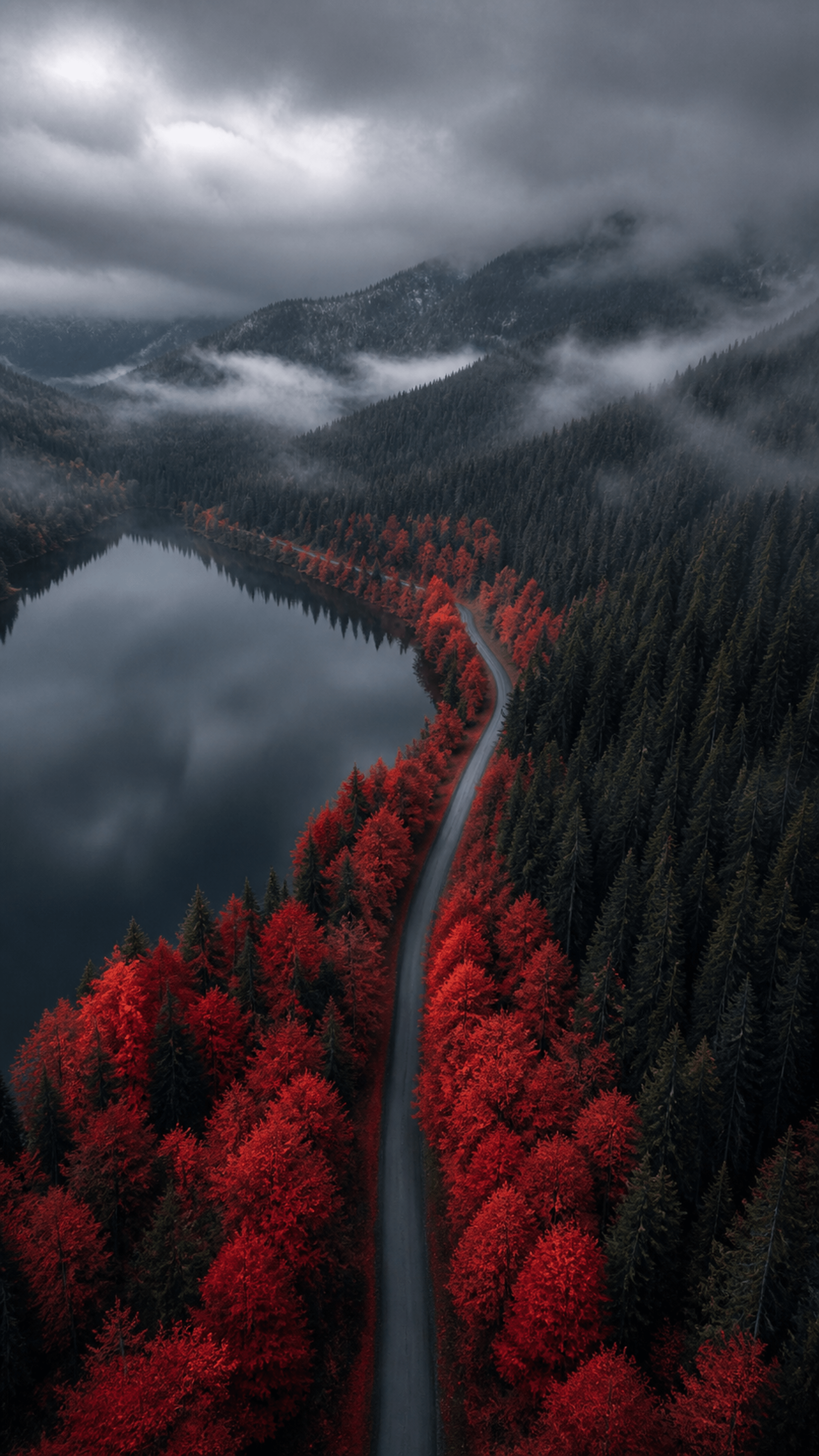 Crimson Lakeside Road Nature phone wallpaper