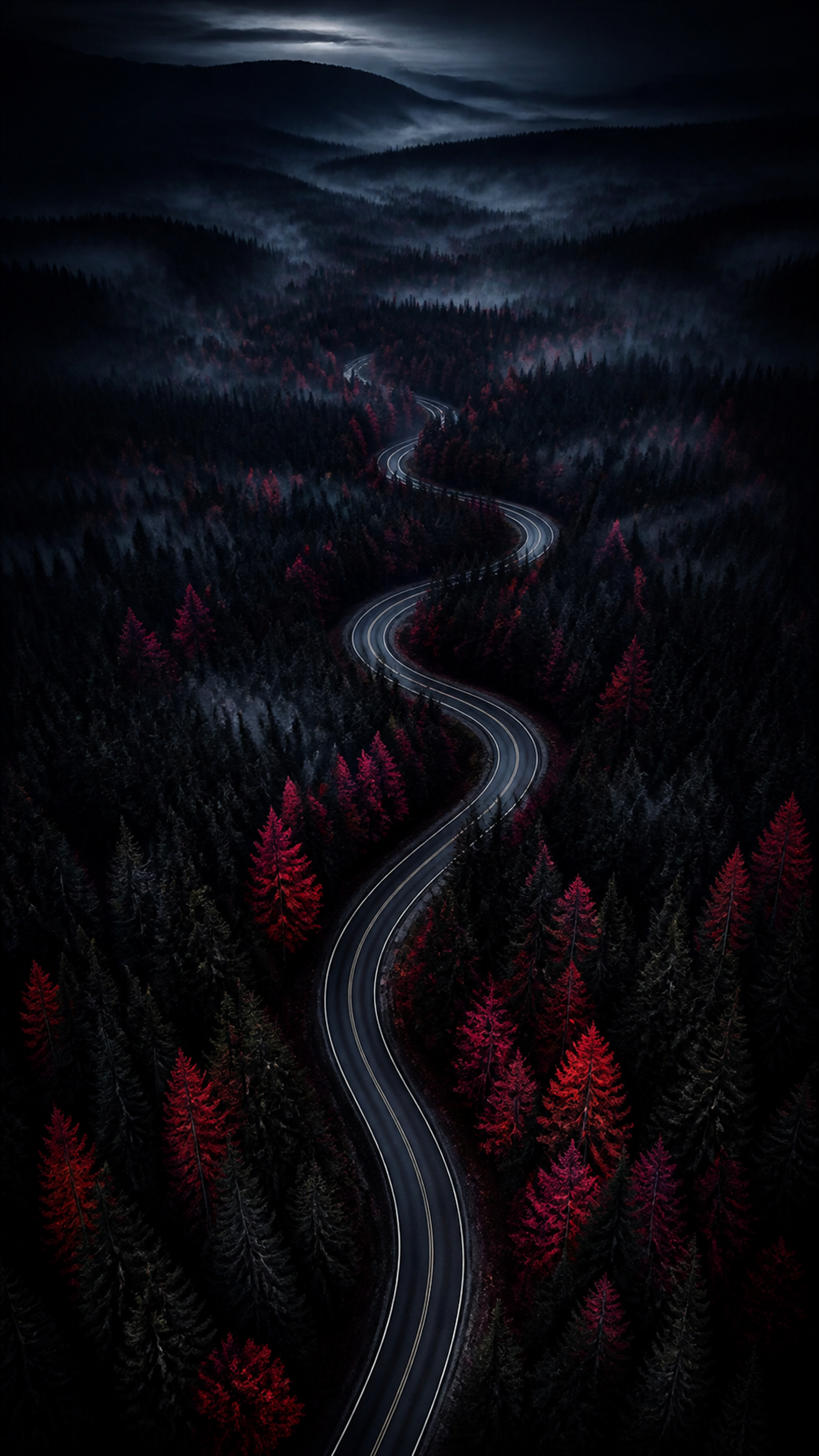 Crimson Midnight Road Nature phone wallpaper